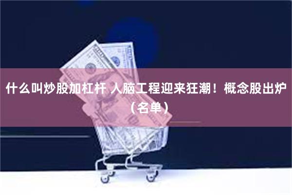 什么叫炒股加杠杆 人脑工程迎来狂潮！概念股出炉（名单）
