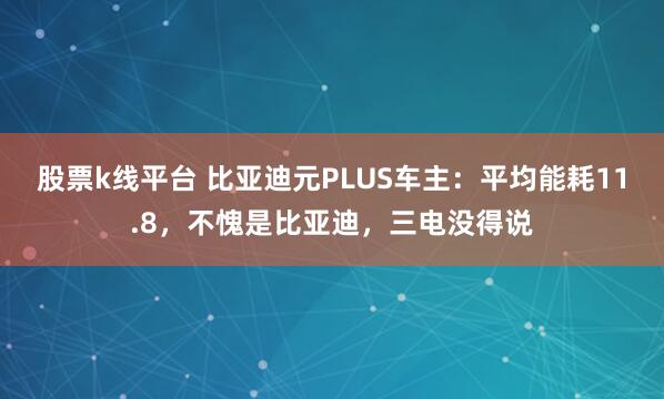 股票k线平台 比亚迪元PLUS车主：平均能耗11.8，不愧是比亚迪，三电没得说