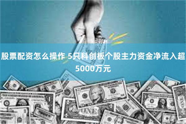 股票配资怎么操作 5只科创板个股主力资金净流入超5000万元