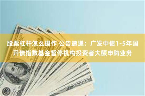 股票杠杆怎么操作 公告速递：广发中债1-5年国开债指数基金暂停机构投资者大额申购业务