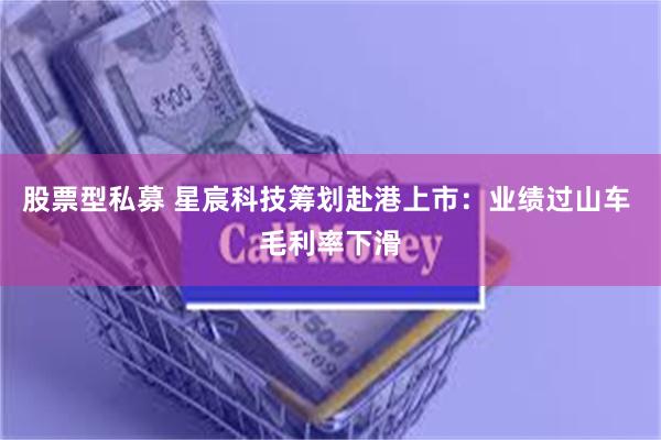 股票型私募 星宸科技筹划赴港上市：业绩过山车 毛利率下滑
