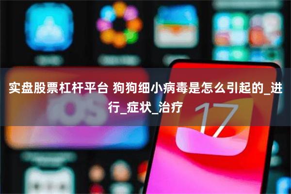 实盘股票杠杆平台 狗狗细小病毒是怎么引起的_进行_症状_治疗