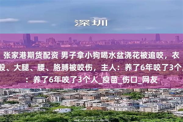 张家港期货配资 男子拿小狗喝水盆浇花被追咬，衣服裤子都破了，屁股、大腿、腰、胳膊被咬伤，主人：养了6年咬了3个人_疫苗_伤口_网友
