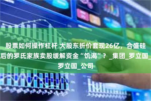 股票如何操作杠杆 大股东折价套现26亿，合盛硅业背后的罗氏家族卖股缓解资金“饥渴”？_集团_罗立国_公司
