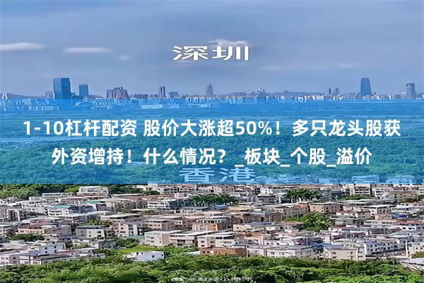 1-10杠杆配资 股价大涨超50%！多只龙头股获外资增持！什么情况？_板块_个股_溢价