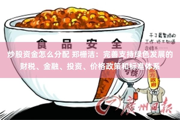 炒股资金怎么分配 郑栅洁：完善支持绿色发展的财税、金融、投资、价格政策和标准体系