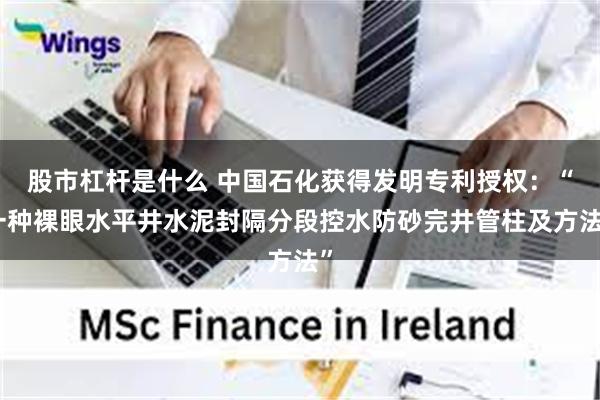 股市杠杆是什么 中国石化获得发明专利授权：“一种裸眼水平井水泥封隔分段控水防砂完井管柱及方法”