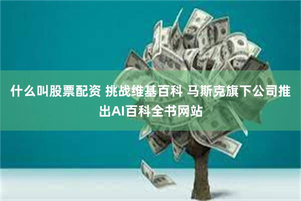 什么叫股票配资 挑战维基百科 马斯克旗下公司推出AI百科全书网站